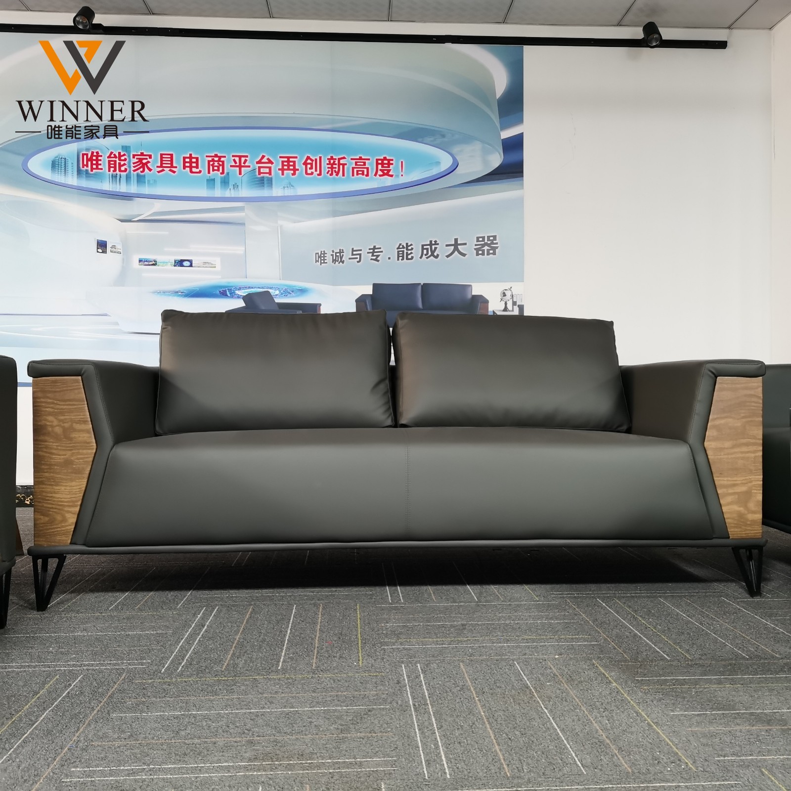 Office  Sofa W8799