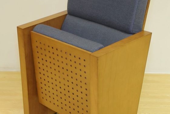 Project-Russia Government Music School -227 Seats Auditorium Chairs