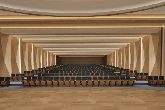 Upgraded Auditorium Chairs from WINNER